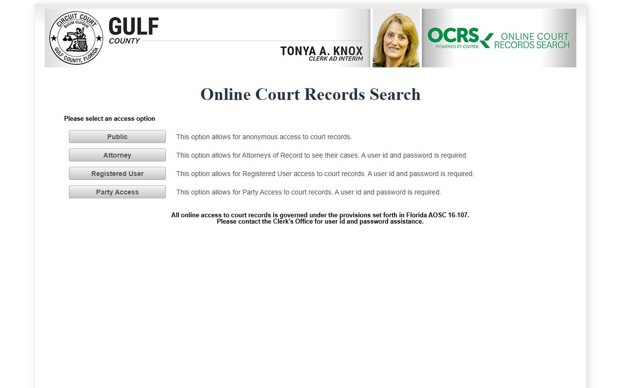 CiviTek online court records portal for Gulf County case search
